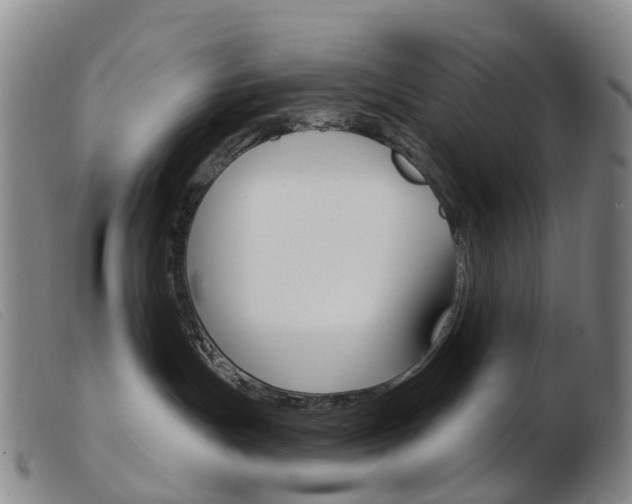 X0000103950191200809191220