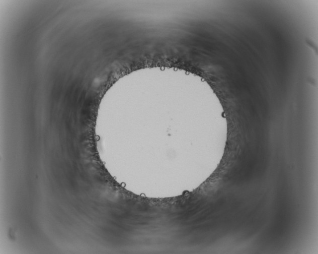X0000103950192200809191220