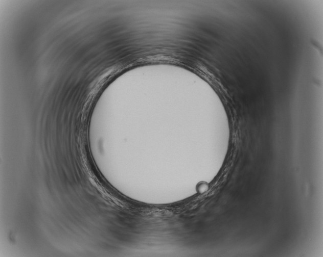 X0000103950193200809191219