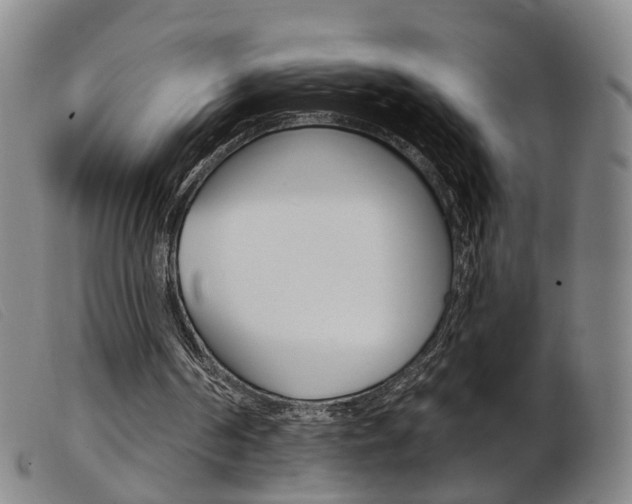 X0000103950194200809191219