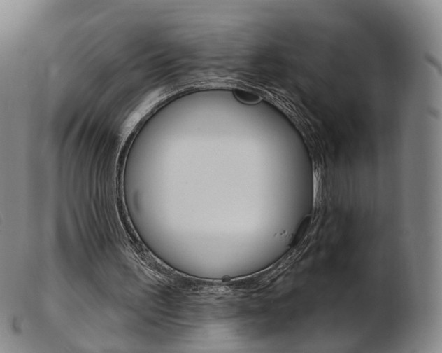 X0000103950195200809191218