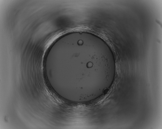 X0000103950196200809191218