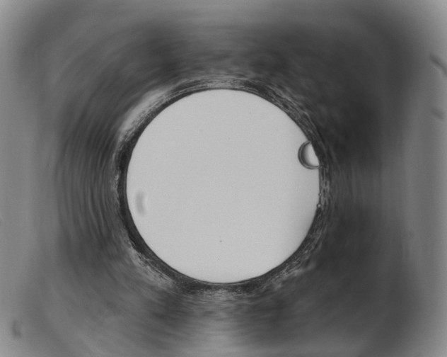 X0000103950197200809191218