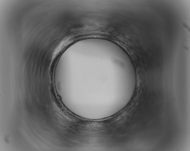 X0000103950198200809191218