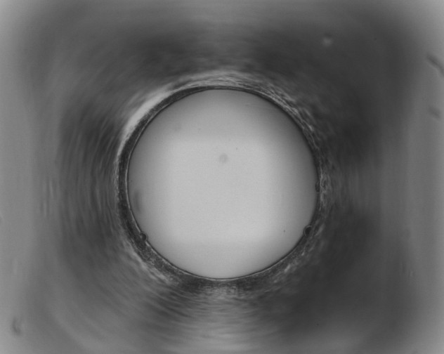 X0000103950200200809191218