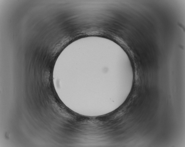 X0000103950201200809191218