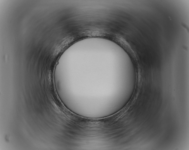 X0000103950202200809191218