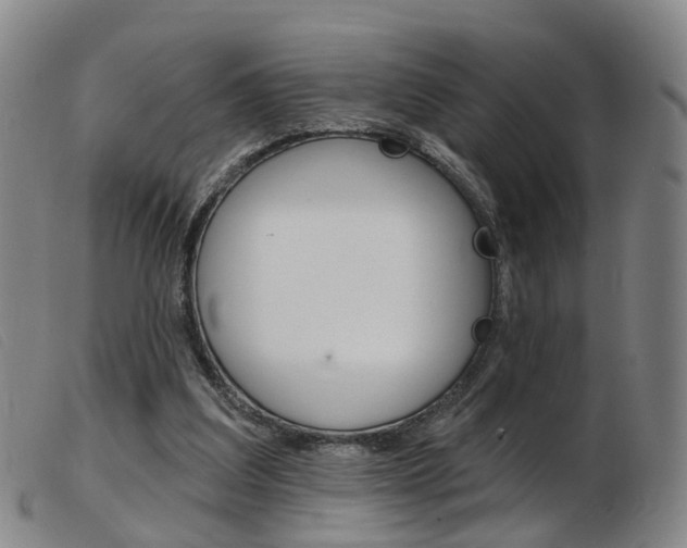 X0000103950203200809191218