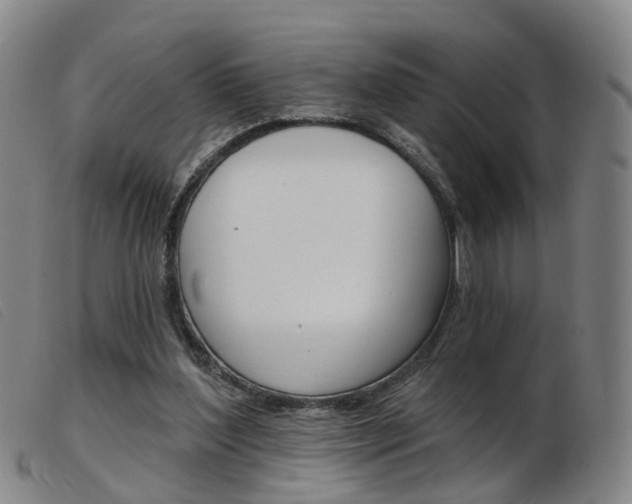 X0000103950204200809191218