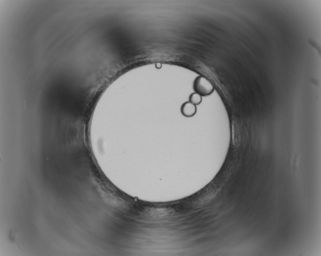 X0000103950205200809191218