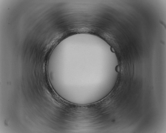 X0000103950206200809191218