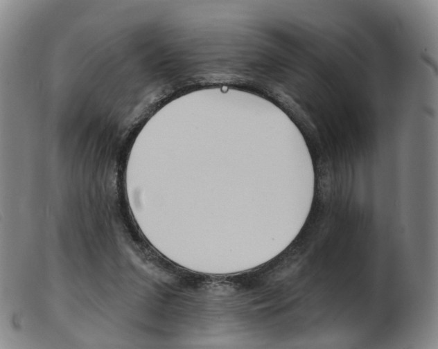 X0000103950207200809191218