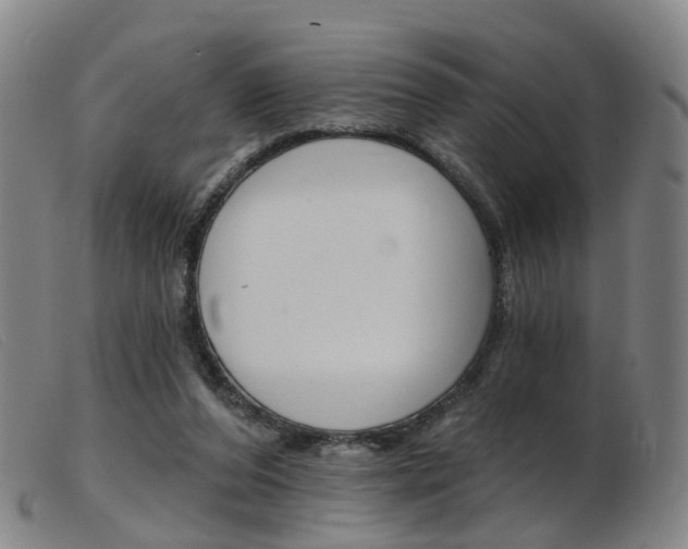 X0000103950208200809191218