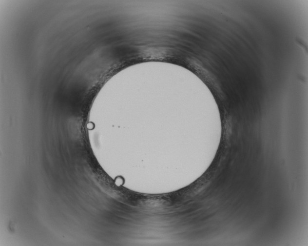 X0000103950209200809191218