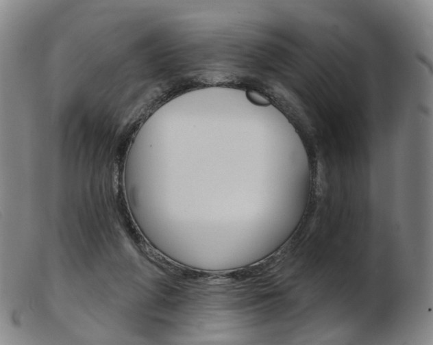 X0000103950210200809191218
