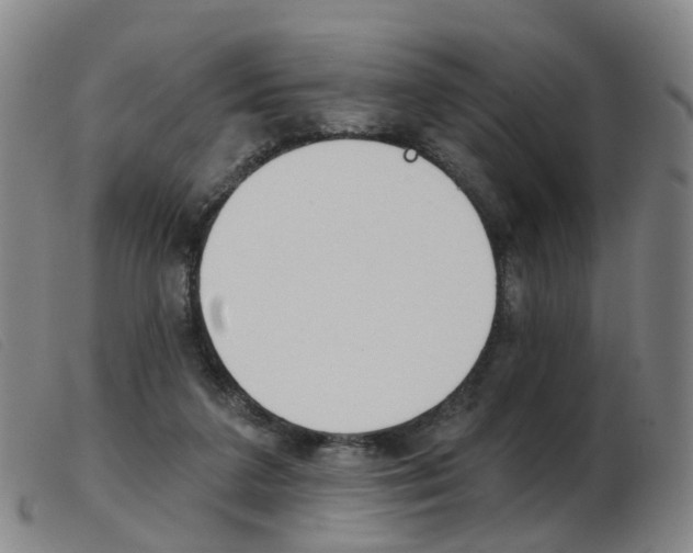 X0000103950211200809191218