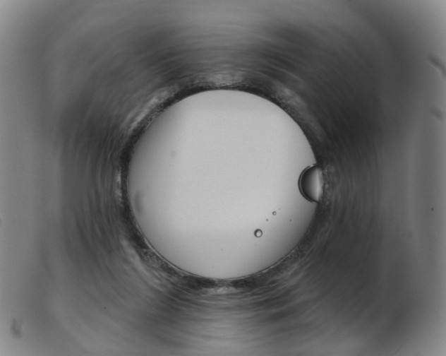 X0000103950212200809191218