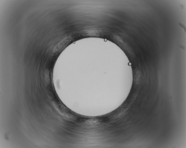 X0000103950213200809191218