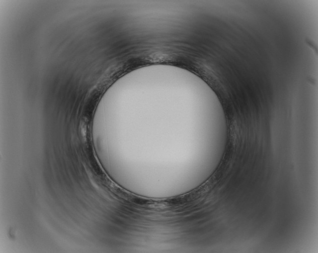 X0000103950214200809191218
