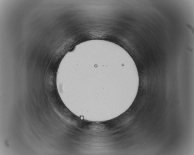 X0000103950215200809191218