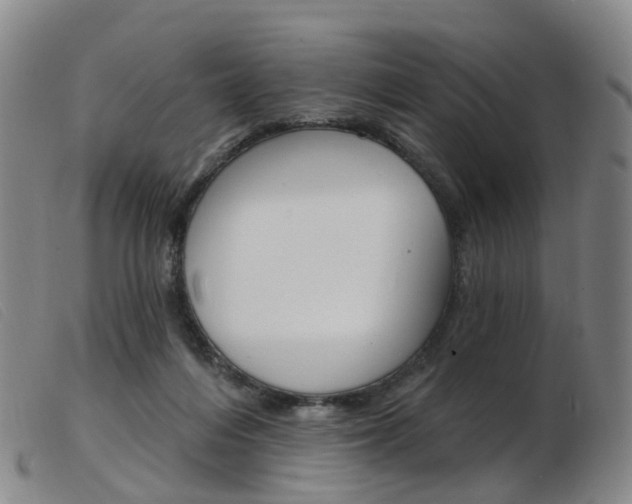 X0000103950216200809191218