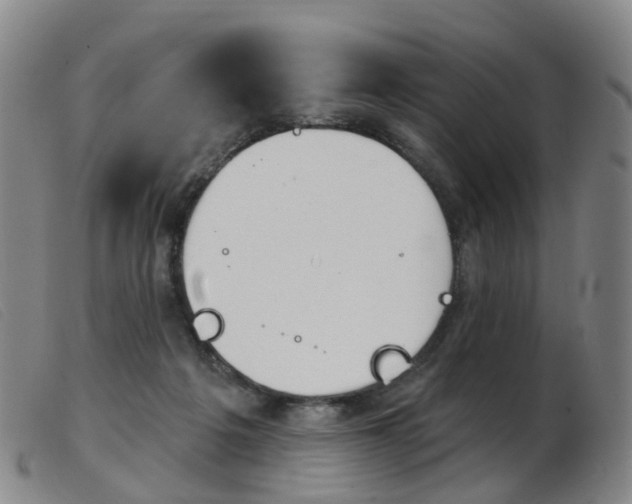 X0000103950217200809191218