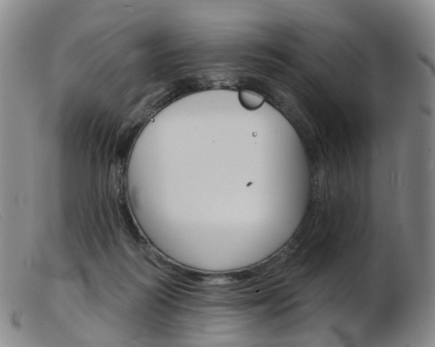X0000103950218200809191218