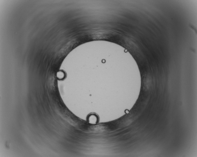 X0000103950219200809191218