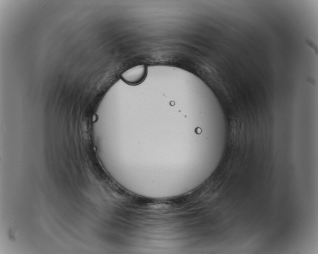 X0000103950220200809191218