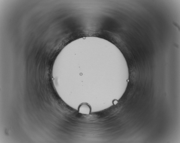 X0000103950221200809191218