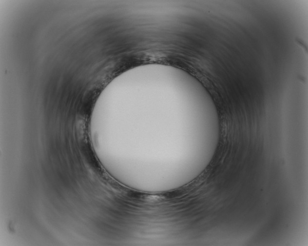 X0000103950222200809191218