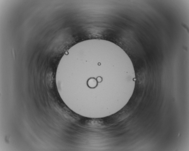 X0000103950223200809191218