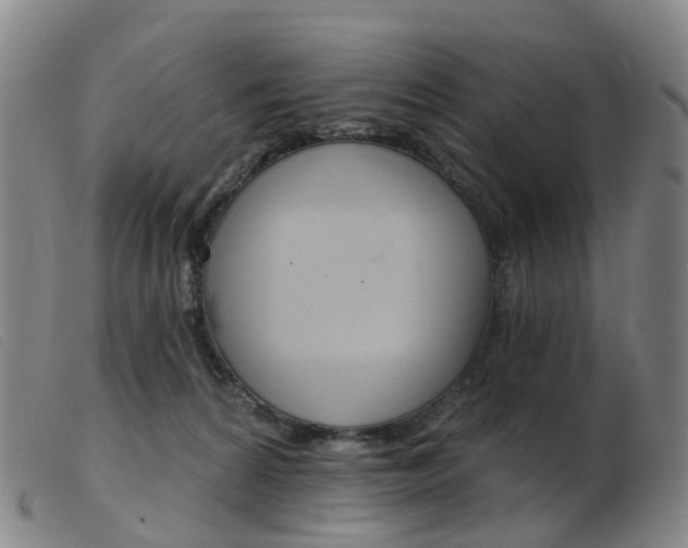 X0000103950224200809191218