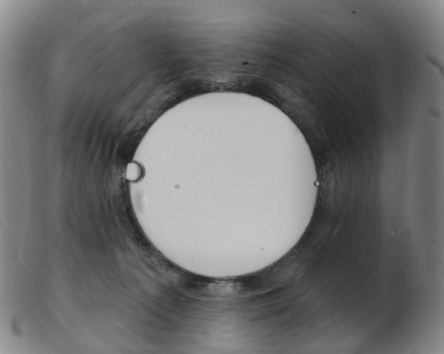X0000103950225200809191218