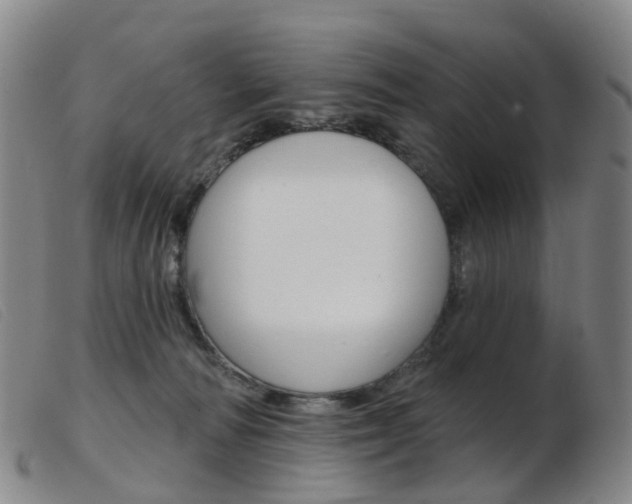 X0000103950226200809191218