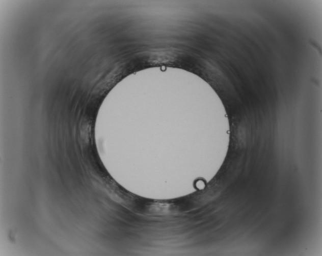 X0000103950227200809191218