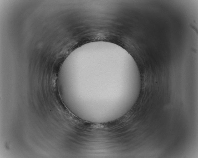 X0000103950230200809191218