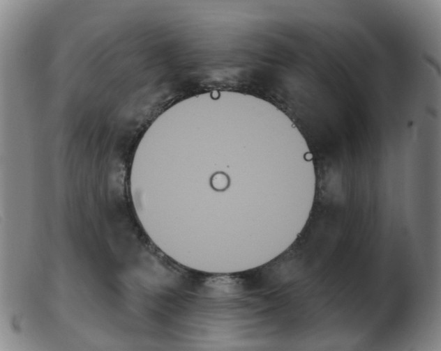 X0000103950231200809191218