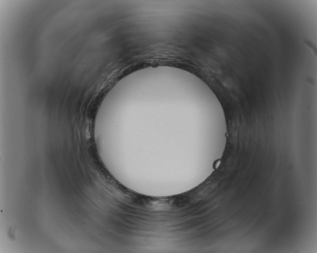 X0000103950232200809191218