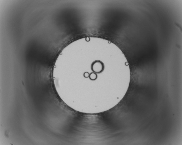 X0000103950233200809191218