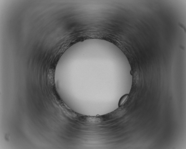 X0000103950234200809191218