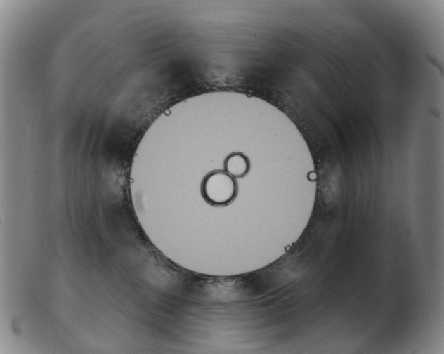 X0000103950235200809191218