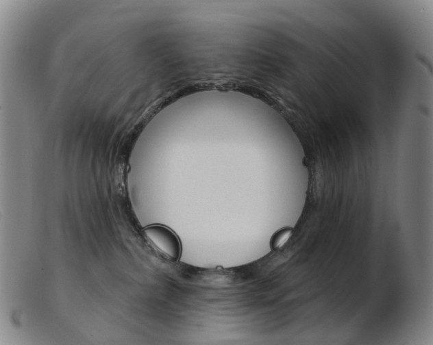 X0000103950236200809191218