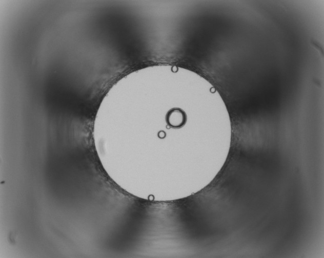 X0000103950237200809191218
