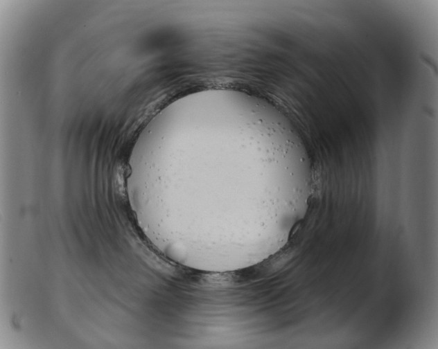 X0000103950238200809191218