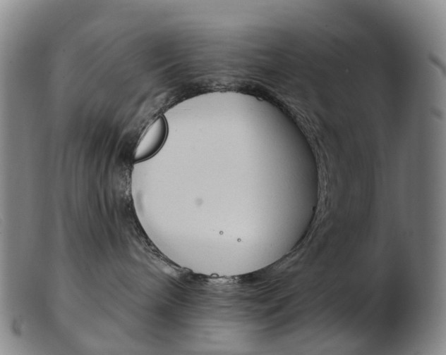 X0000103950240200809191218