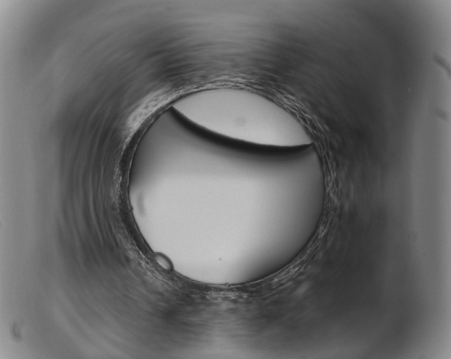 X0000103950242200809191217