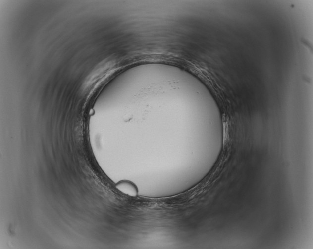 X0000103950243200809191217