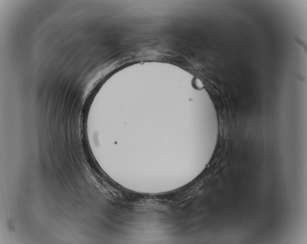 X0000103950244200809191217
