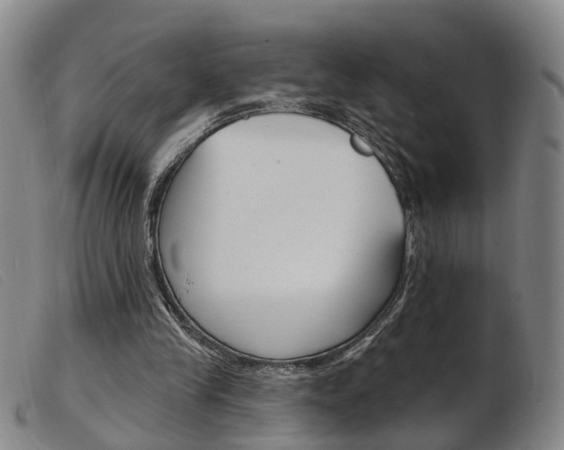 X0000103950245200809191217
